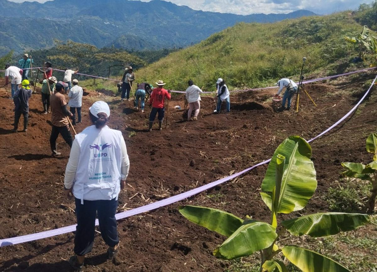 Image d'illustration pour: Hallazgo en Caldas: cuerpo recuperado tras 38 años revive la lucha por la verdad de los desaparecidos