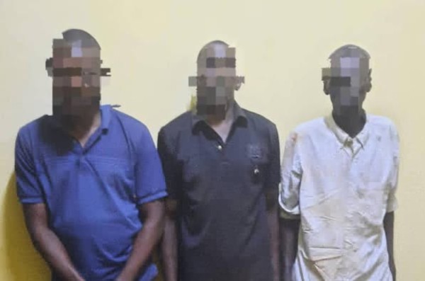 Image d'illustration pour: Sénou : Trois bandits désormais hors d'état de nuire