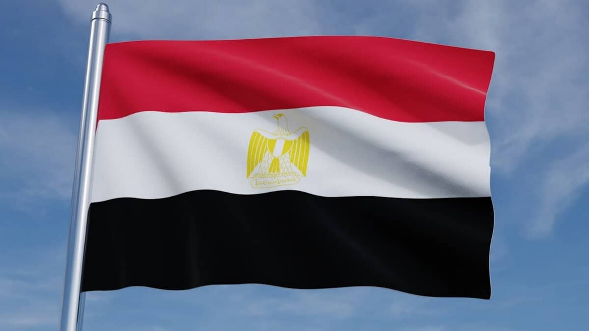 Image d'illustration pour: Egypt warns of 'devastating consequences' if Hamas officials are targeted on its soil