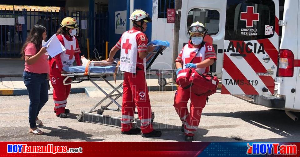 Image d'illustration pour: Menor resulta lesionada al caerle jardinera en Primaria de Ciudad Victoria