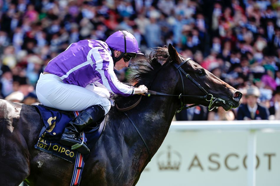 Image d'illustration pour: Irish Champions Festival: strong six-runner field for National Stakes as unbeaten British duo take on three from Ballydoyle