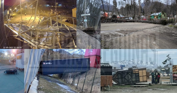 Image d'illustration pour: (Vídeo compilado) Multiples caídas de árboles y voladuras de techos en Ushuaia por el fuerte temporal