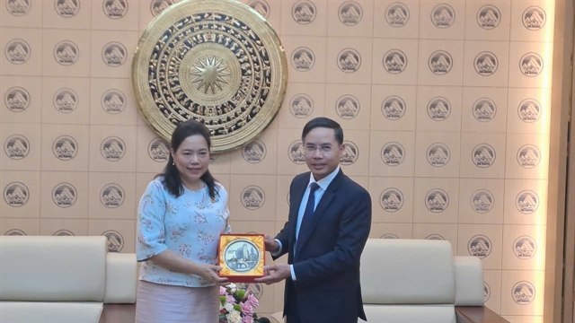 Image d'illustration pour: Thailand, Đà Nẵng to boost cooperation and investment