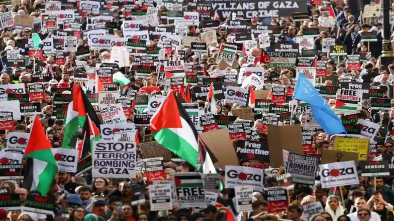 Image d'illustration pour: 'Don't Normalize Genocide': Thousands Take Part in Pro-Palestinian Rally in New Zealand's Auckland | LatestLY