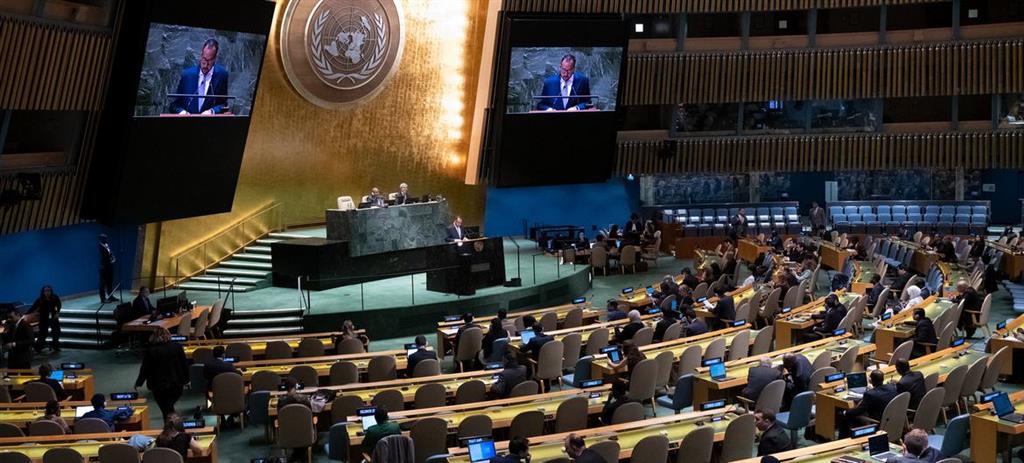 Image d'illustration pour: Mundo Sur repudia votación de Argentina sobre Palestina en ONU - Noticias Prensa Latina