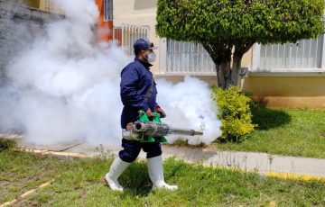 Image d'illustration pour: Realizó Gobierno de Morelia 220 fumigaciones contra mosco del dengue