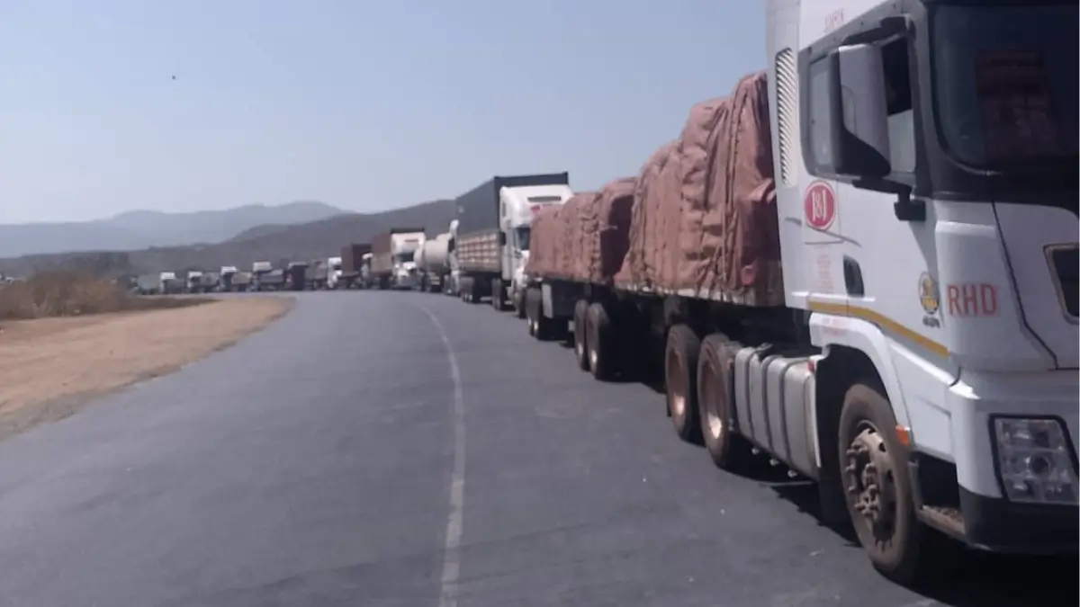 Image d'illustration pour: SADC Truckers Demand Action From ZIMRA Over Forbes/Machipanda Border Delays - Video | SA Trucker