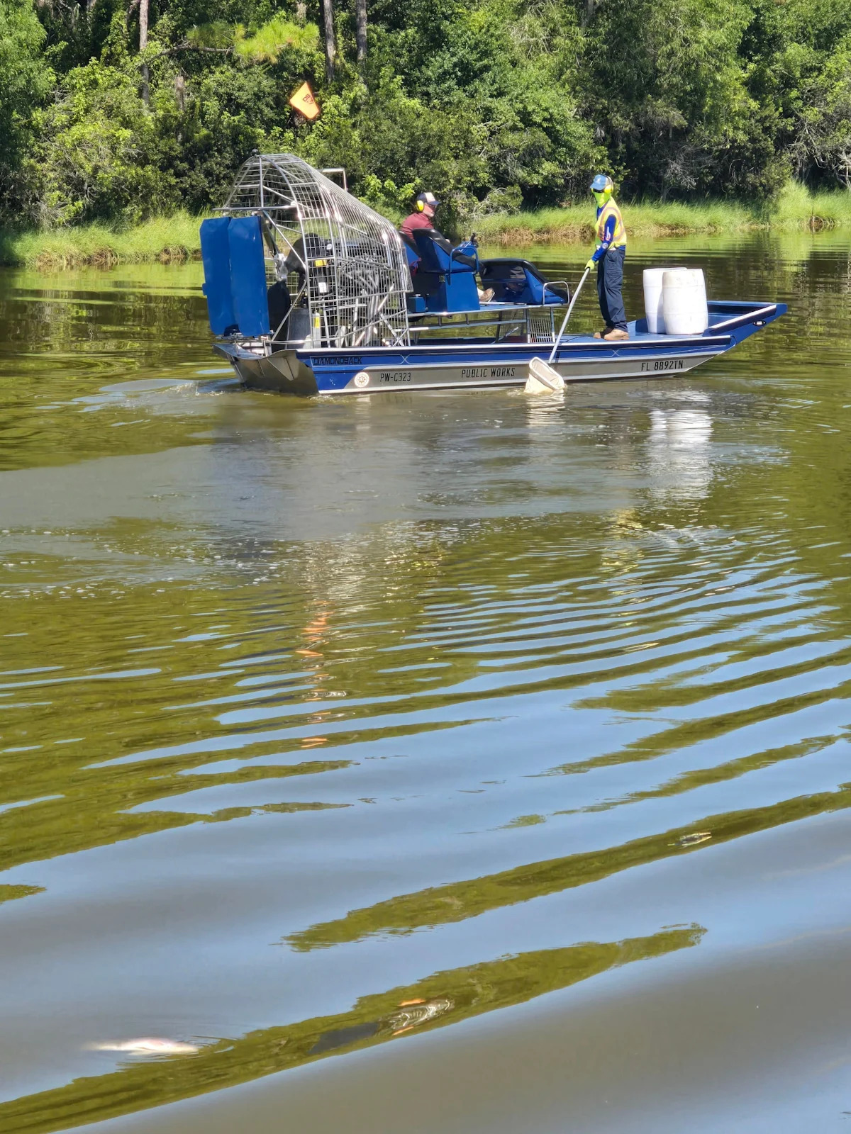 Image d'illustration pour: Port St. Lucie begins to treat algae bloom that killed nearly 6,000 fish