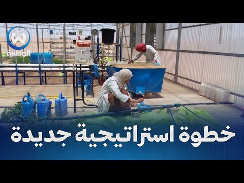 Image d'illustration pour: قروض ب 150 مليون دج لدعم انشاء مخازن التبريد دون فوائد