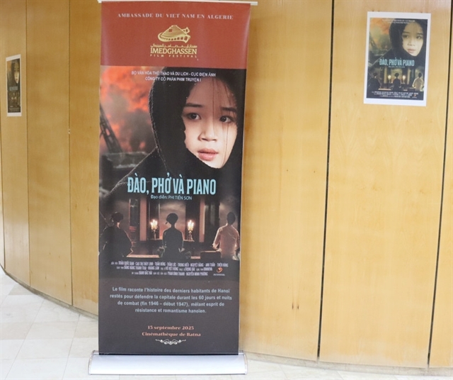 Image d'illustration pour: Vietnamese films reach African audiences
