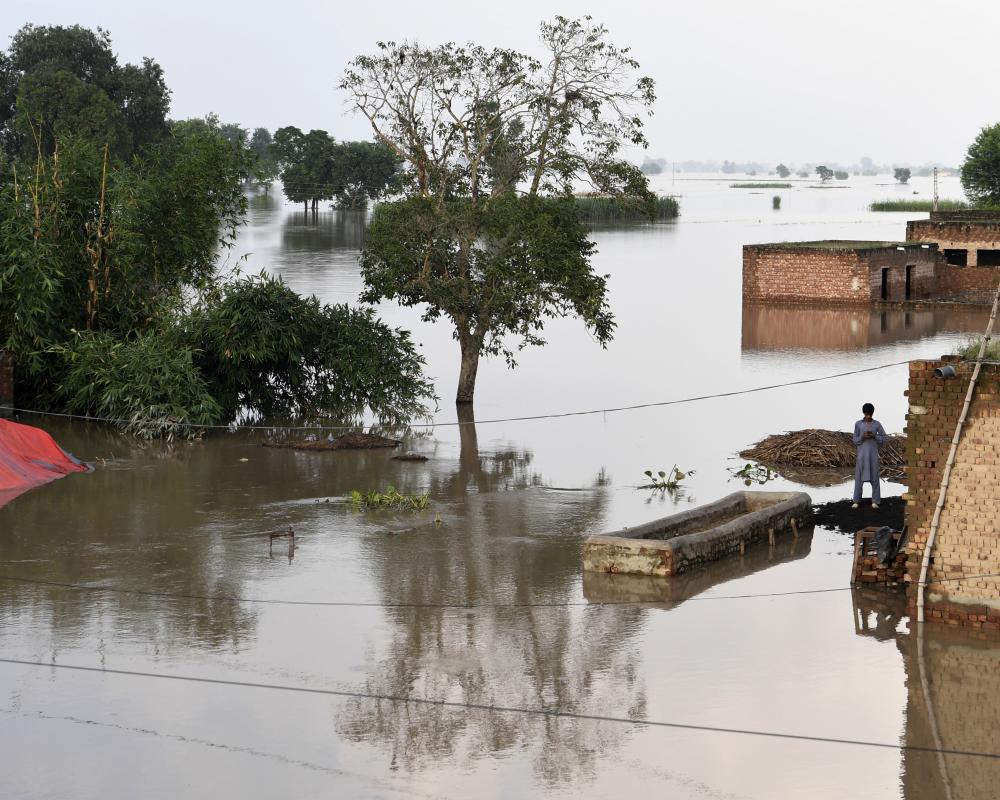 Image d'illustration pour: Only a third of world's river basins experienced normal conditions in 2024