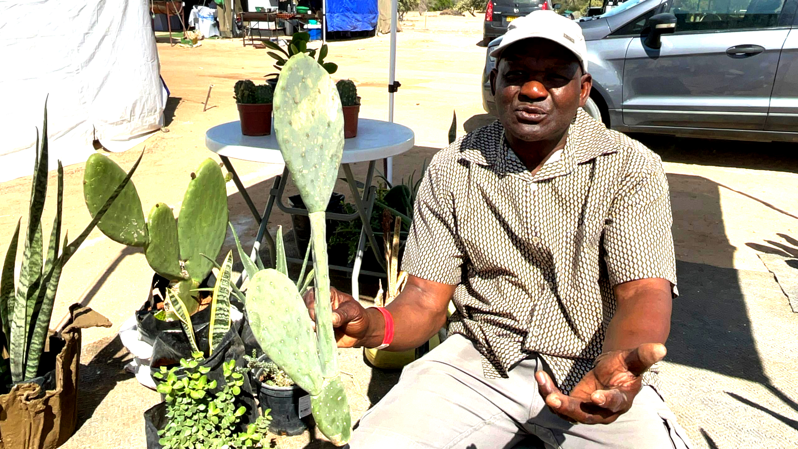 Image d'illustration pour: From politics to ploughs ...ex-mayor ventures into agriculture