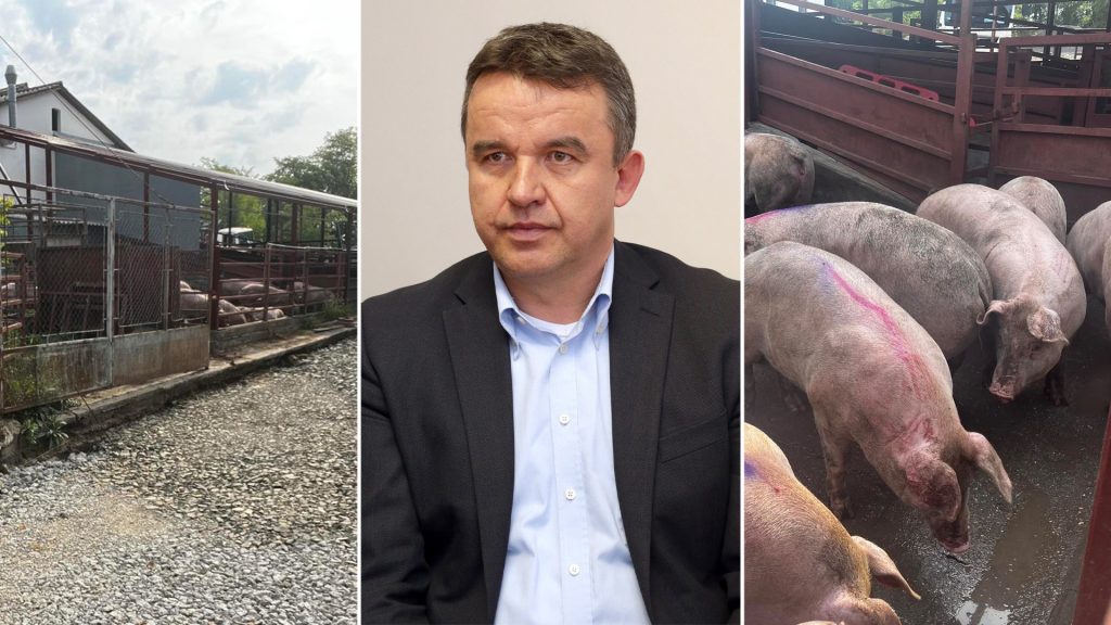 Image d'illustration pour: A közétkeztetésbe is került hús a fideszes Horváth István családi vágó