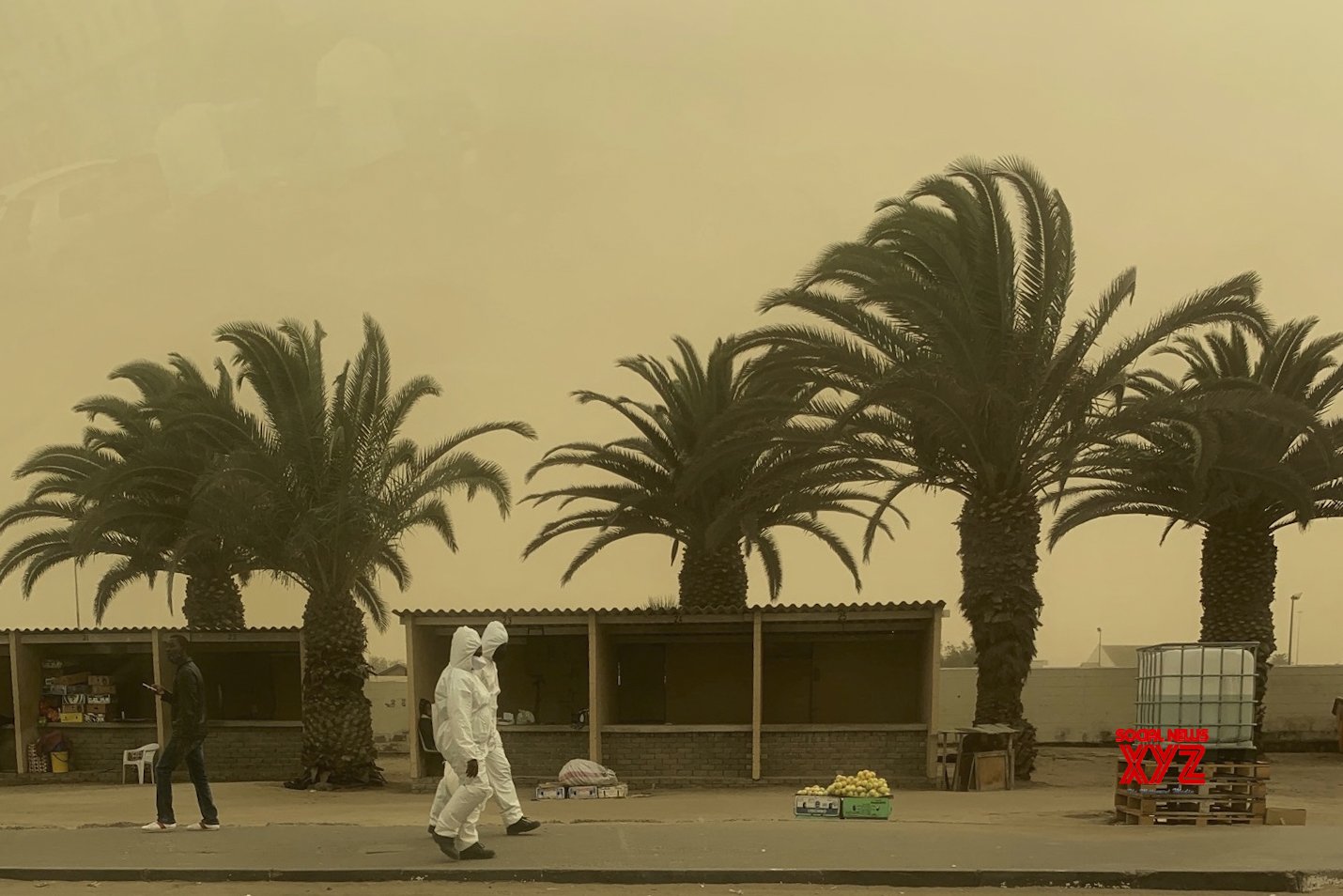 Image d'illustration pour: Namibia launches Sustainable Finance Alliance to boost climate resilience