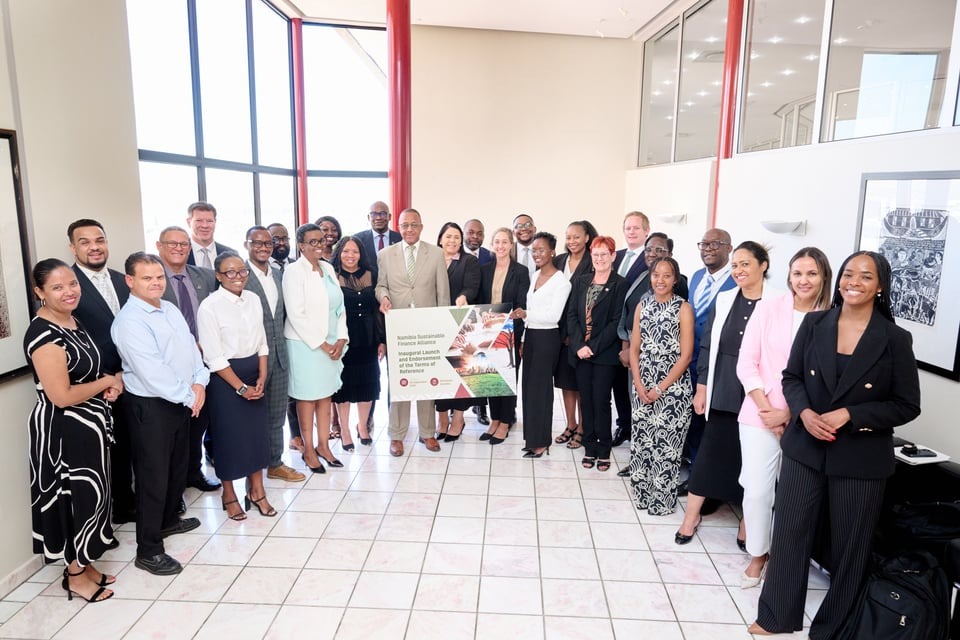 Image d'illustration pour: Financial sector unites for climate action in NSFA