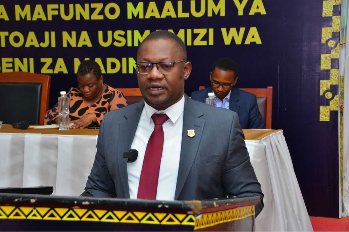 Image d'illustration pour: Tanzania streamlines mining licence system, slashes delays, cuts bureaucracy