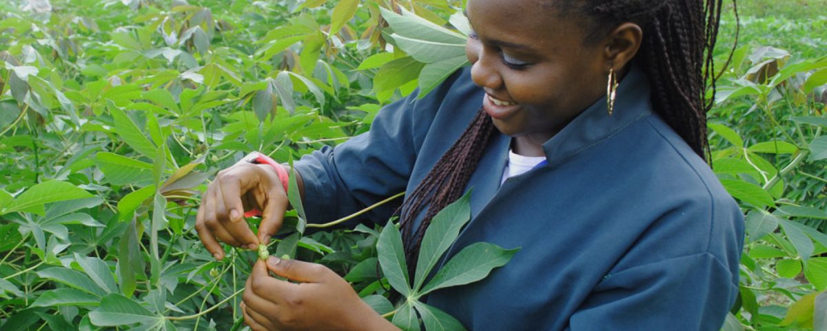 Image d'illustration pour: FAO Urges African Youth Inclusion in Land and Climate Agenda