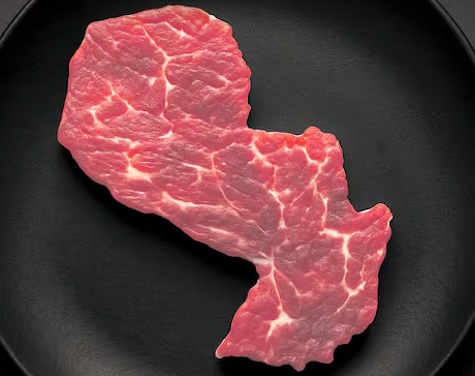 Image d'illustration pour: Zehn Märkte machen 83,9 % der Rindfleischexporte aus - Wochenblatt