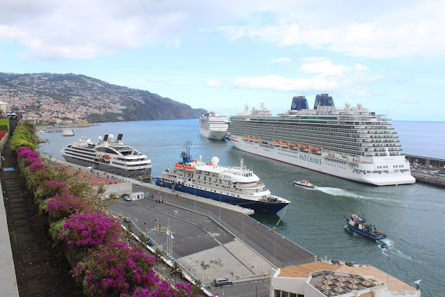 Image d'illustration pour: Puertos de Madeira monitorizará y rastreará nivel de gases emitidos por buques - PortalPortuario