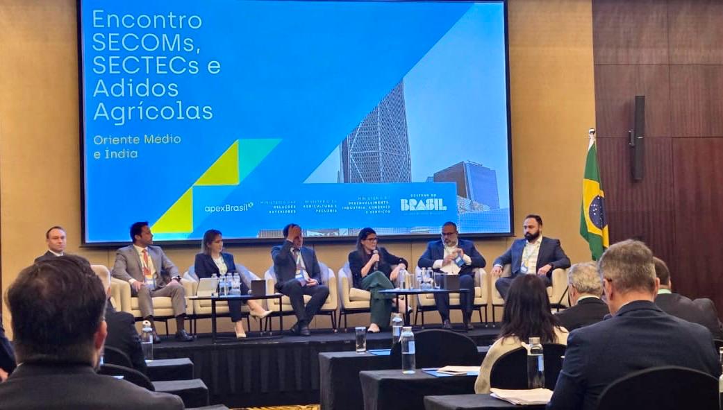 Image d'illustration pour: Câmara Árabe debate inserção no Oriente Médio