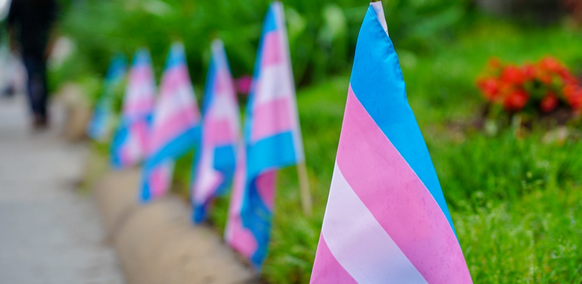 Image d'illustration pour: For Paraguay's transgender women, survival often means leaving home - Watermark Out News