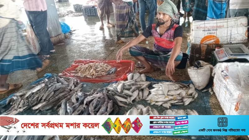 Image d'illustration pour: ইলিশ ধরায় শুরু হলো ২২ দিনের নিষেধাজ্ঞা