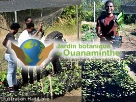 Haïti : Le Jardin botanique de Ouanaminthe dévoile son plan de résistance climatique
