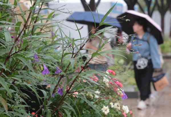 Image d'illustration pour: Météo : Chuseok sous la pluie