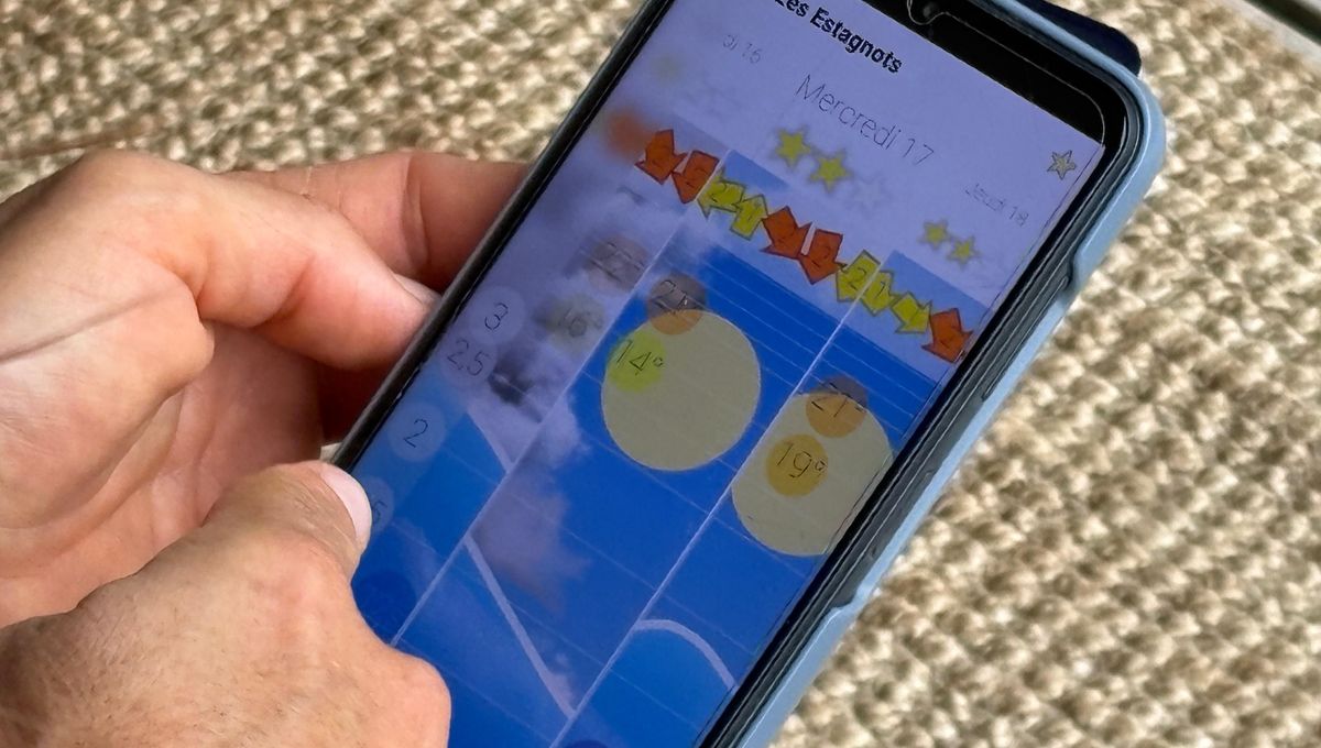Image d'illustration pour: " Y a du surf " : Une appli née d'un besoin personnel devenue incontournable - ici