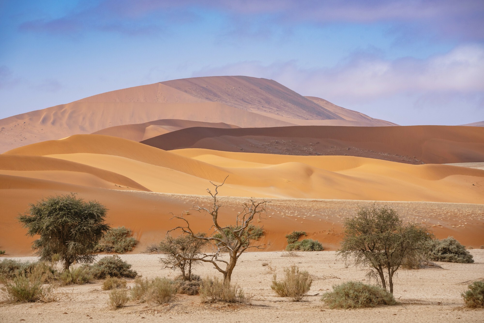 Image d'illustration pour: Niemiecki koncern wycofuje się z projektu wodorowego w Namibii