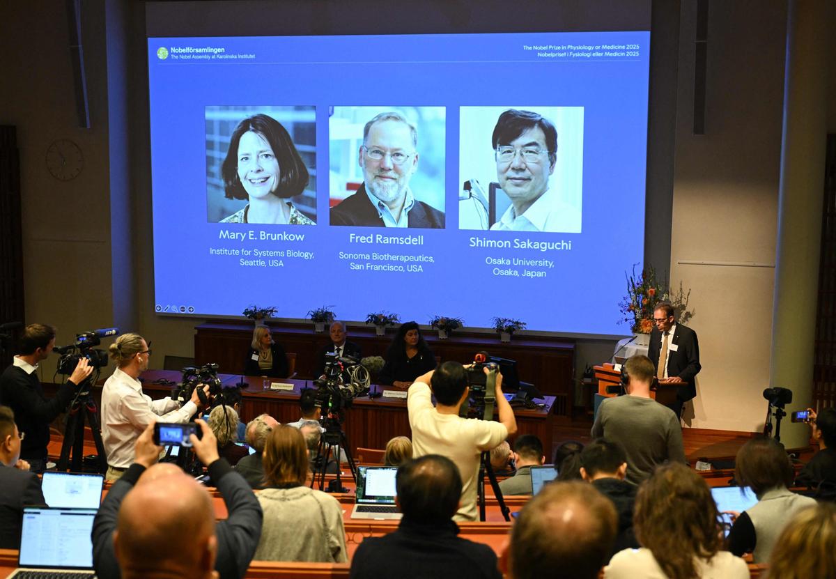 Image d'illustration pour: Chi sono i Nobel per la Medicina 2025 e perché è importante la tolleranza immunitaria periferica