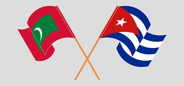 Image d'illustration pour: Intercambian Cuba y Maldivas sobre nexos bilaterales