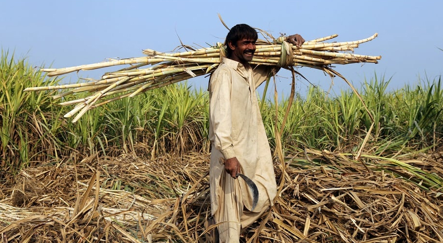 Image d'illustration pour: Sindh extends deadline for agricultural income tax returns to October 31