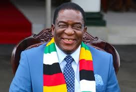 Image d'illustration pour: ZSD president lambasts ED2030 bid
