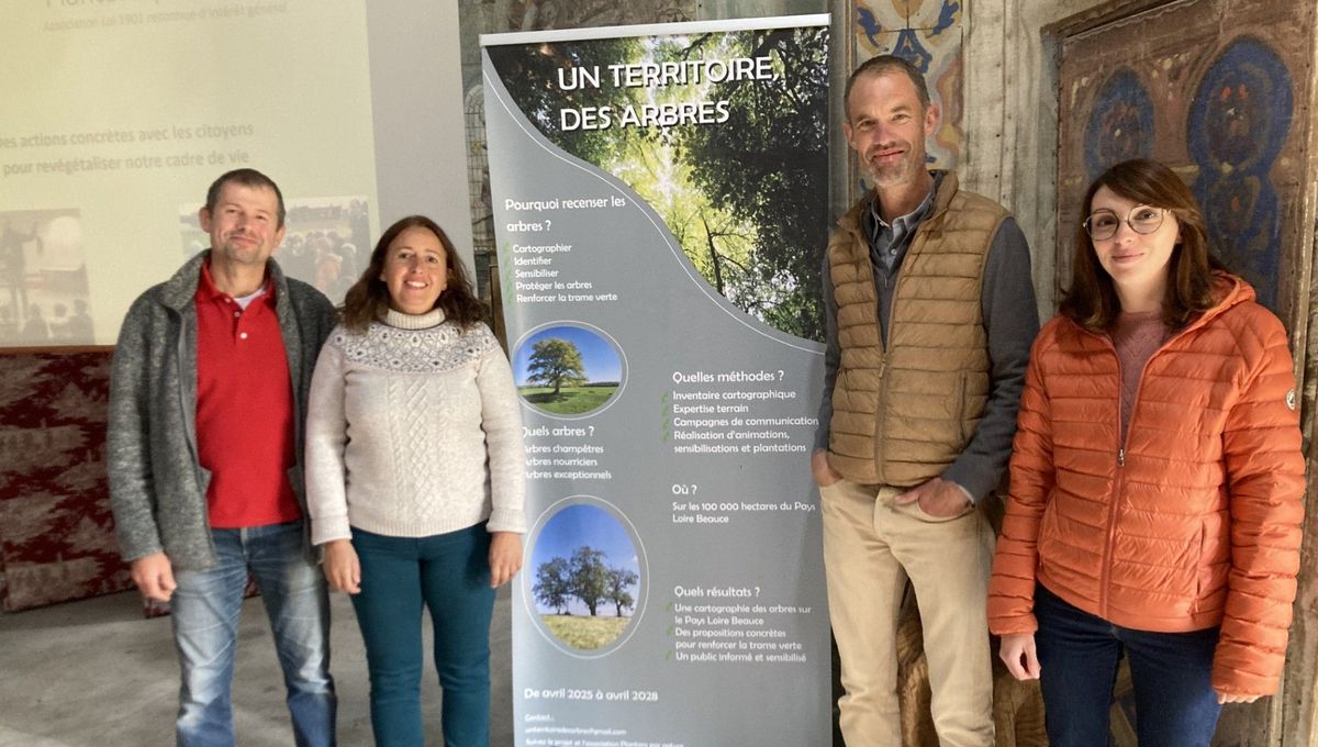 Image d'illustration pour: Une association loirétaine se lance dans un grand inventaire des arbres de Beauce - ici