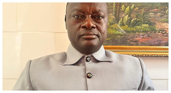 Image d'illustration pour: Reform ECG to safeguard Ghanaian businesses - FABAG to government