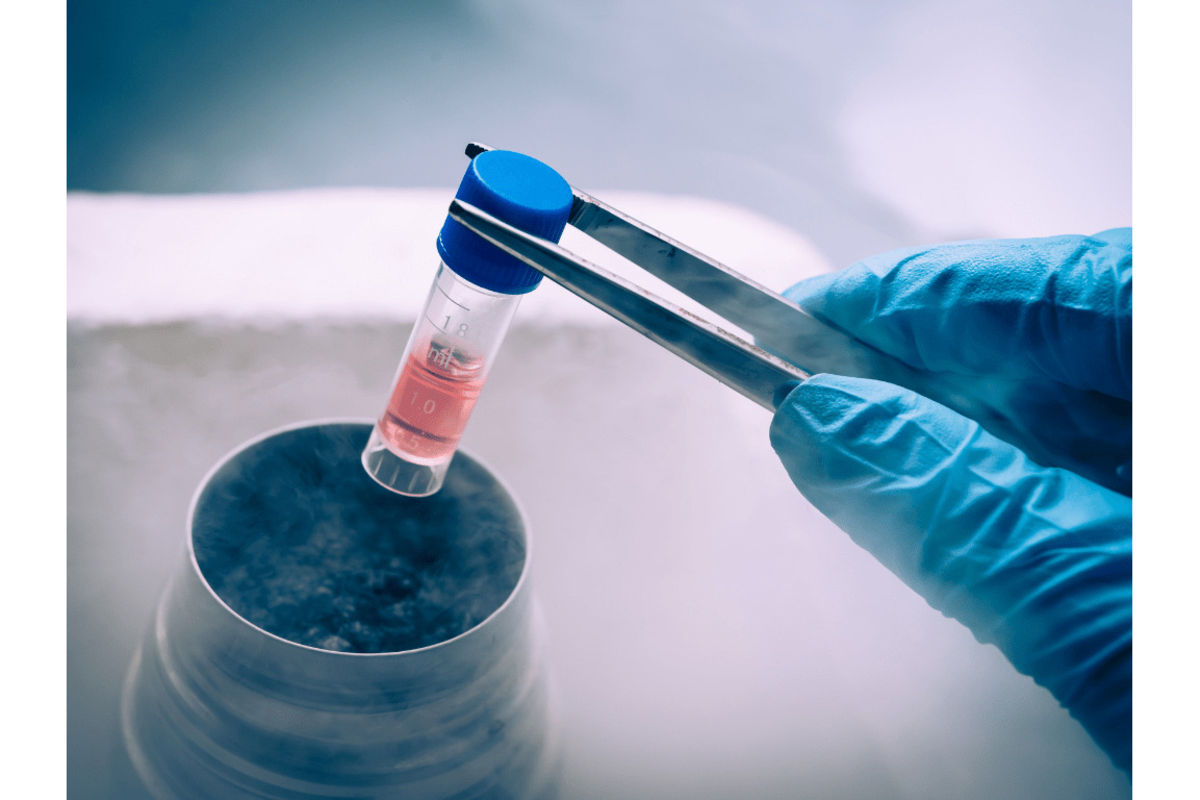 Image d'illustration pour: Stem-cell therapy transforms the future of plastic surgery