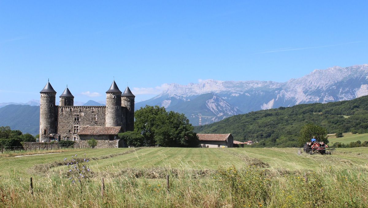 Image d'illustration pour: En Isère, la ville de Jarrie recherche des agriculteurs pour leur louer des parcelles agricoles  - ici