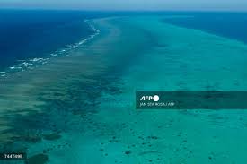 Image d'illustration pour: New Zealand coastal waters heat up 34% faster than global average