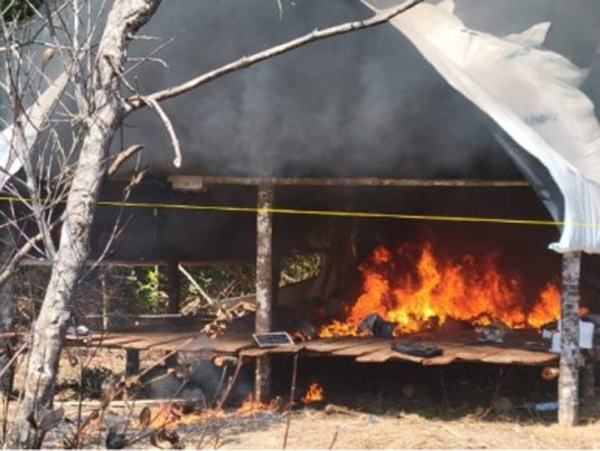 Image d'illustration pour: Guyana seizes drugs, guns and ammo during marijuana raid