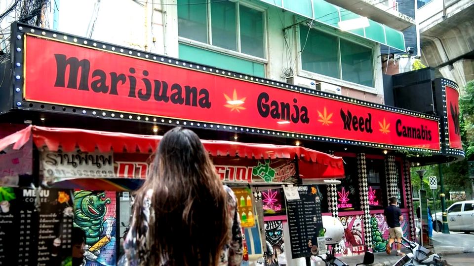 Image d'illustration pour: Thai weed laws under review once again - Pattaya Mail