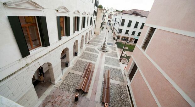 Image d'illustration pour: Giurisprudenza, +15% di iscritti nella sede trevigiana: "Nessuno dei nostri laureati è disoccupato"