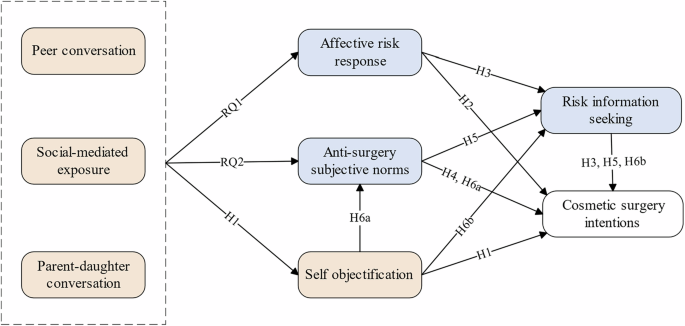 Image d'illustration pour: Self-objectification and the agency for risk information seeking in women's cosmetic surgery decision-making - Humanities and Social Sciences Communications