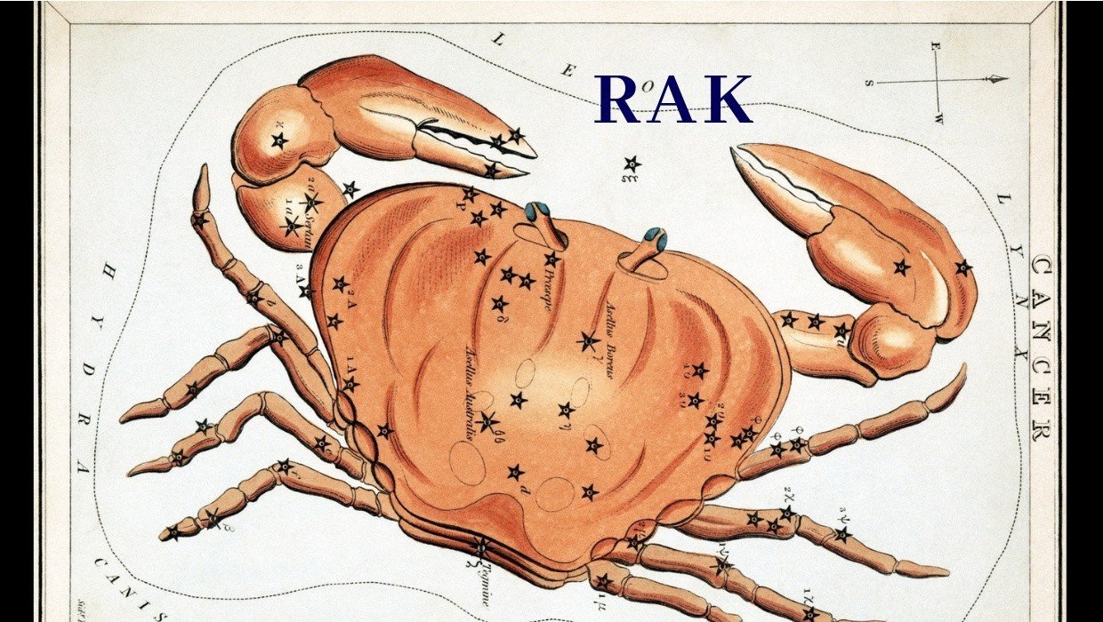 Image d'illustration pour: Horoskop dla Raków na październik 2025. Sprawdź, co czeka Cię w tym miesiącu według gwiazd