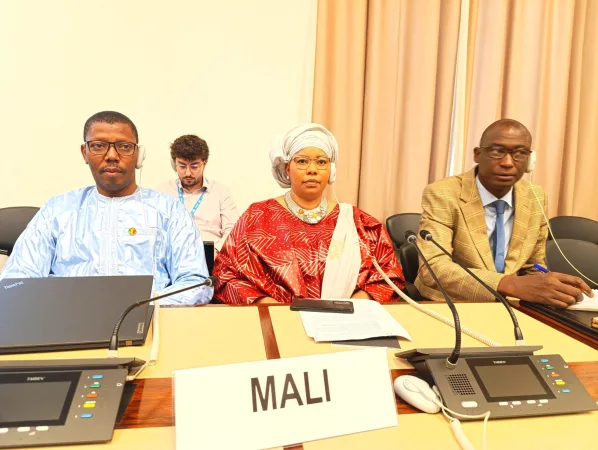 Image d'illustration pour: Diplomatie à Genève : Le Mali Déploie Une Stratégie " Humanitaire-Paix-Développement " Contre La Crise