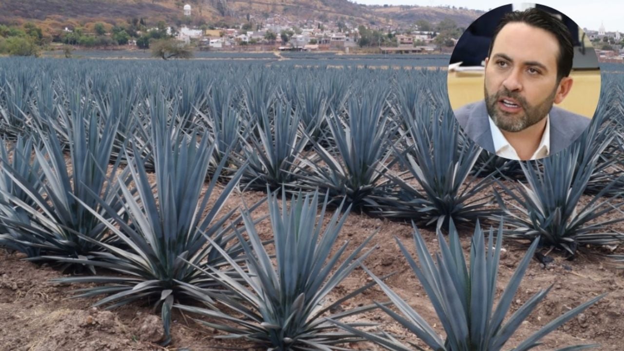Image d'illustration pour: PAN Guanajuato pide bajar el IEPS a pequeñas tequileras: 'Basta de impuestos castigadores'