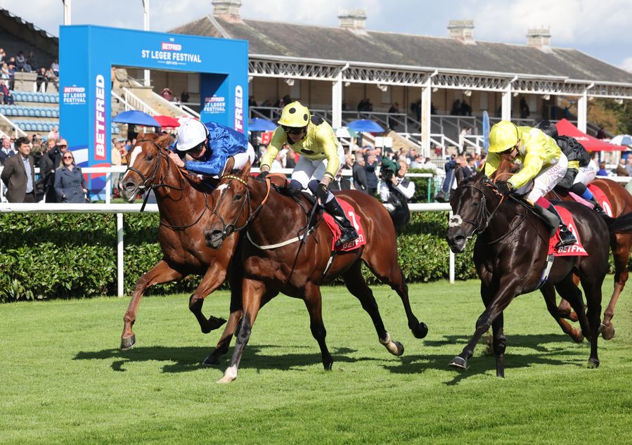 Image d'illustration pour: Who will be the next Delacroix? Three potential stars to watch out for on Future Champions Day at Newmarket