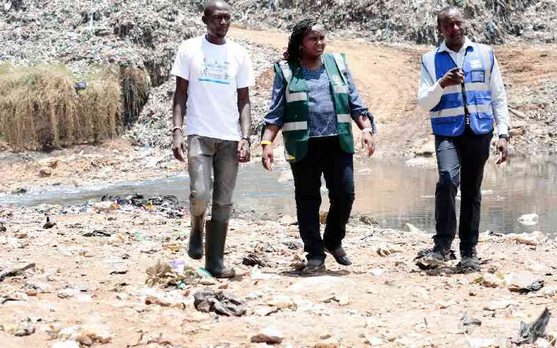 Image d'illustration pour: Nairobi can be cleaner, if our leaders want