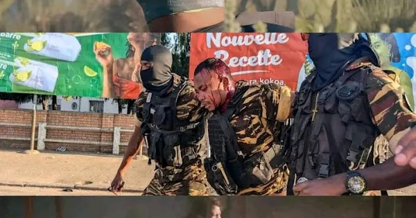 Image d'illustration pour: La Leçon de Madagascar : Le Jour où la pierre a fait plier l'acier !