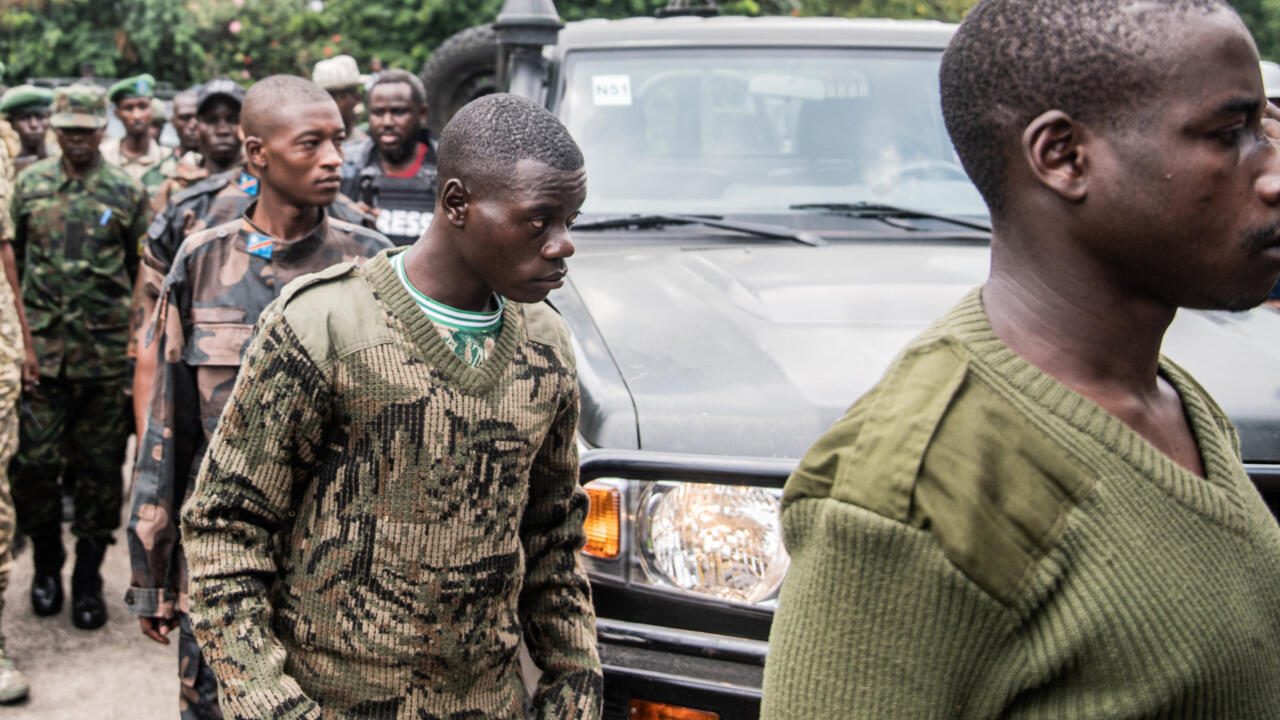 Image d'illustration pour: Est de la RDC: où en sont le désarmement et la reddition des FDLR?